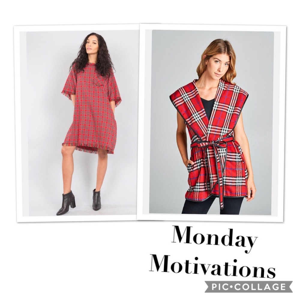 Red berry vest / and School girl dress